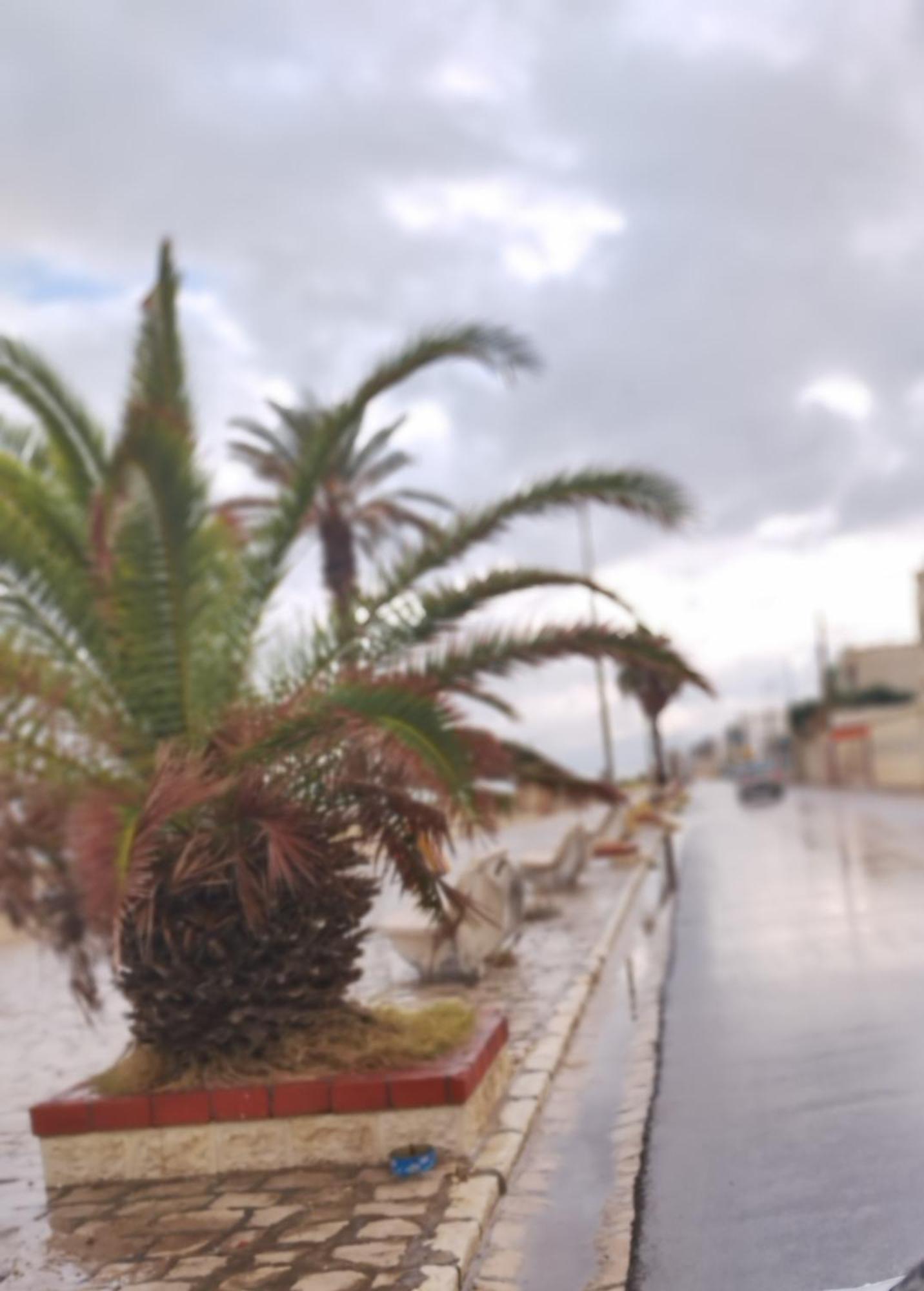 Appartement Hammam-Lif Les Cyclamens Tunisie Afrique מראה חיצוני תמונה